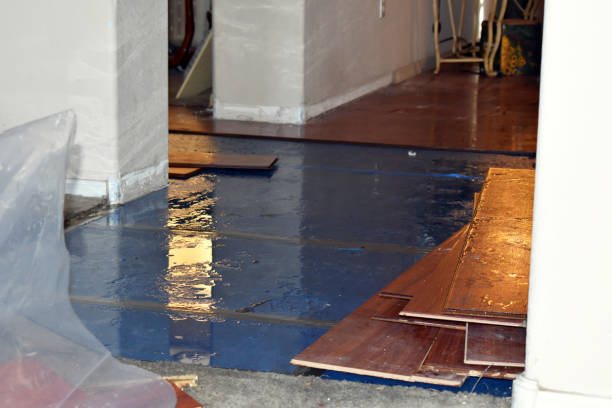 Professional Flood Cleanup technician working in Nichols, WI